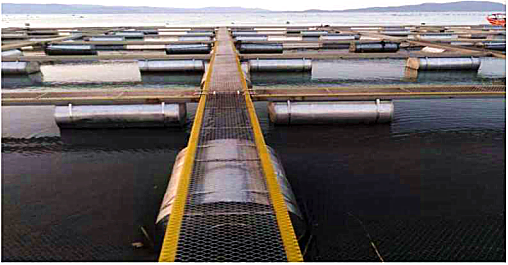 1756979329470011.png ΢ÐÅͼƬ_20250903173822.png